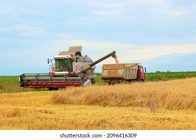 Harvester combine harvesting wheat and pouring it into dump truck during wheat harvest at the end of summer. Concept of a rich harvest. Farming agricultural background.