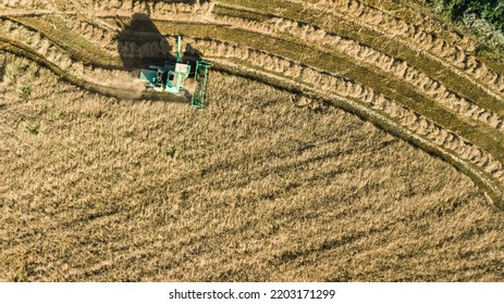 Harvester Machine Working In Field Aerial Drone View From Above, Combine Harvester Agriculture Machine Harvesting Ripe Wheat Field