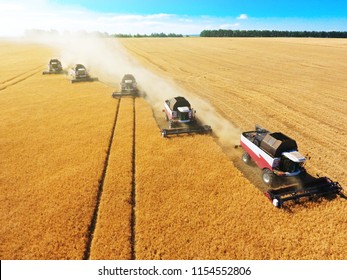 Harvester Machine Working In Field . Combine Harvester Agriculture Machine Harvesting Golden Ripe Wheat Field. Agriculture. Aerial View. From Above.