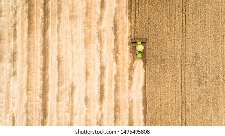 Harvester Machine Working In Field . Combine Harvester Agriculture Machine Harvesting Golden Ripe Wheat Field. Agriculture. Aerial View. From Above.