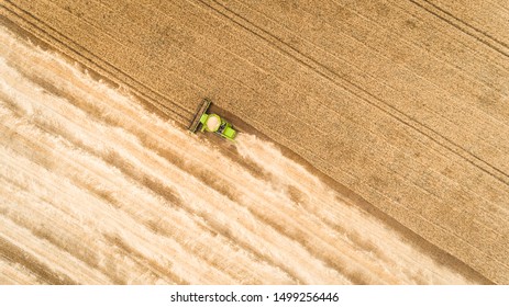 Harvester Machine Working In Field . Combine Harvester Agriculture Machine Harvesting Golden Ripe Wheat Field. Agriculture. Aerial View. From Above.