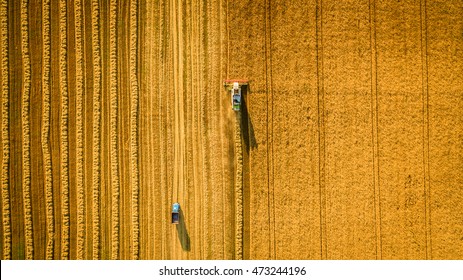 Harvester machine working in field . Combine harvester agriculture machine harvesting golden ripe wheat field. Agriculture. Aerial view. From above. - Shutterstock ID 473244196
