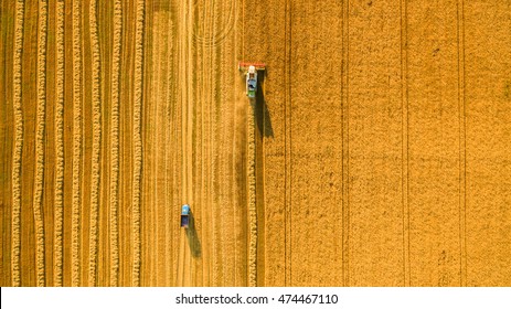 Harvester Machine Working In Field . Combine Harvester Agriculture Machine Harvesting Golden Ripe Wheat Field. Agriculture. Aerial View. From Above.