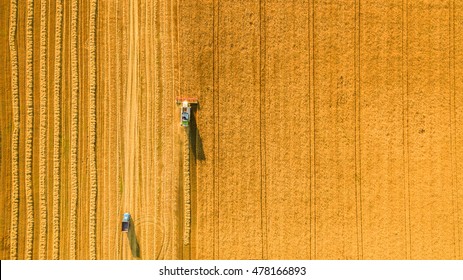 Harvester Machine Working In Field . Combine Harvester Agriculture Machine Harvesting Golden Ripe Wheat Field. Agriculture. Aerial View. From Above.