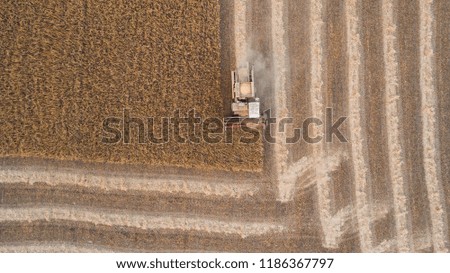 Similar – Combine harvester harvests a grain field in the evening light from the air