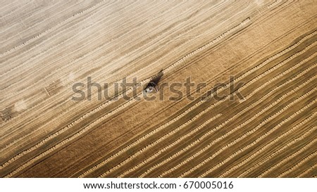 Similar – Image, Stock Photo Combine harvester harvests grain field in the evening light from the air