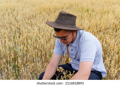 Harvester. Portrait Of Farmer Seating In Gold Wheat Field With Blue Sky In Background. Young Man Wearing Sunglasses And Cowboy Hat In Field Examining Wheat Crop. Oats Grain Industry. Closeup.