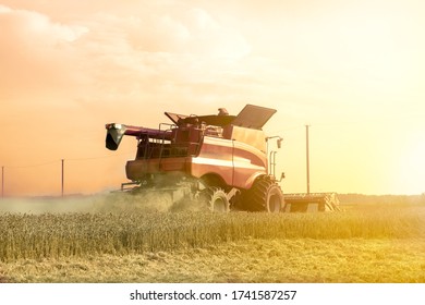 Harvester is working during harvest time in the farmer’s fields, machine is cutting grain plants at sunset, agriculture concept

 - Shutterstock ID 1741587257