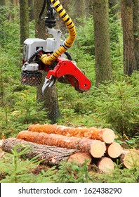 The Harvester Working In A Forest. Closeup With Shallow DOF. 