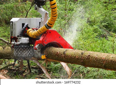 The Harvester Working In A Forest. Closeup With Shallow DOF. 