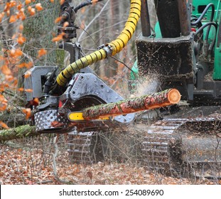 The Harvester Working In A Forest. Closeup With Shallow DOF. 