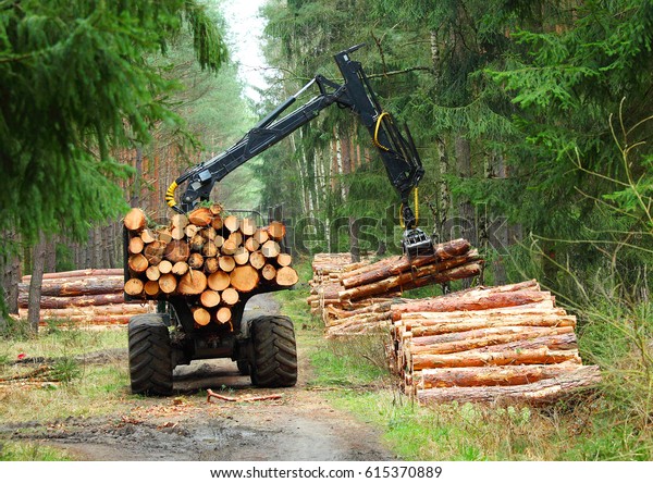 Harvester Working Forest Harvest Timber Firewood Stock Photo (Edit Now ...