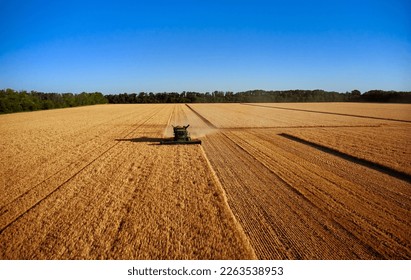 Harvester works in the field. Combine Harvesting Wheat, top view of a wheatfield. Field field of cereals during harvesting - Shutterstock ID 2263538953