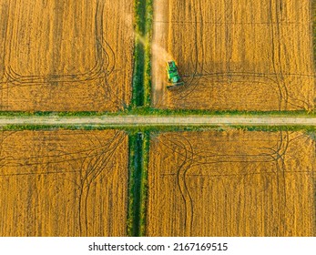 Harvesters work on the farm. Combine harvester agricultural machine is harvesting golden ripe wheat field. Agricultural scene. Aerial view from above.