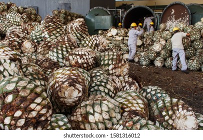 1,211 Tequila process Images, Stock Photos & Vectors | Shutterstock