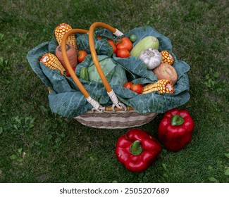 Harvesting basket made of vine fulfilled with fresh vegetables from the courtyard garden (corn ears, cabbage with large foliage, carrot, cucumber, tomatoes). Giant red paprika on green lawn background - Powered by Shutterstock