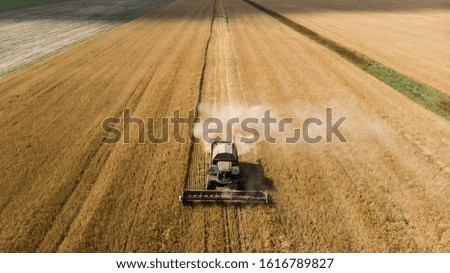 Similar – A combine harvester is harvesting grain crops on a cornfield in the evening sun seen from above