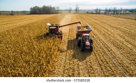 Harvesting corn in autumn Aerial skyline shot