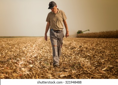 Harvesting Corn Field