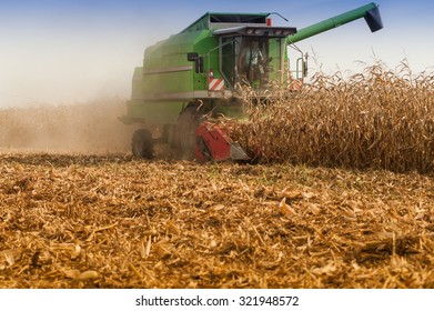 Harvesting Corn Field