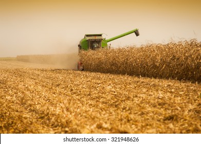 Harvesting Corn Field