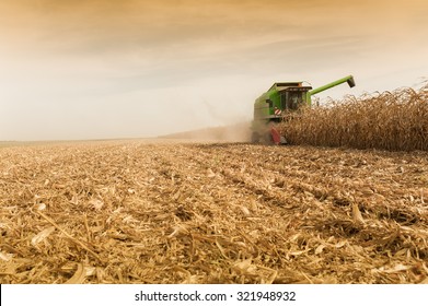 Harvesting Corn Field