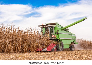 Harvesting Of Corn Field With Combine