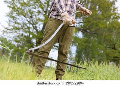 to harvesting a field with old scythe