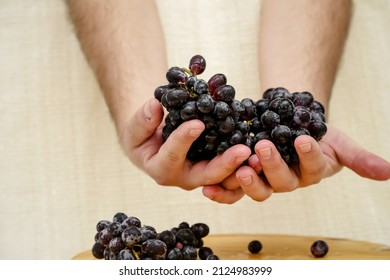 Harvesting Grape Juice On The Table Straight From The Farm.