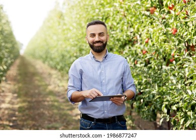 Harvesting and modern technology at summer and autumn concept. Cheerful millennial bearded farmer businessman with tablet on fruit trees plantation, checks apple harvest in daylight, free space
