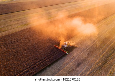 Harvesting oilseed rape in autumn field. Harvester combine in a cloud of dust glowing from the setting sun. Aerial top view