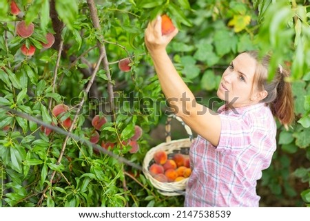 Similar – Image, Stock Photo Woman picking apples with basket in her hands