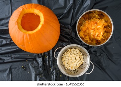 Harvesting Pumpkin Seeds, Fresh Carved Pumpkin On A Plastic Covered Table With Pumpkin Guts And Bowls
