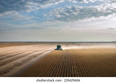 Harvesting of soy bean field with combine - Shutterstock ID 235429606