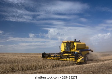 Harvesting of soybean field with combine 