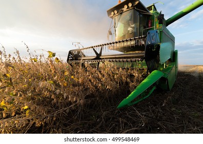 Harvesting Of Soybean Field With Combine