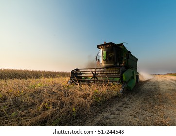 Harvesting Of Soybean Field With Combine