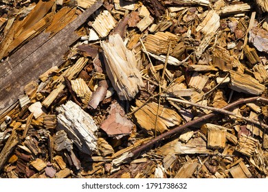 harvesting and storage of wood for later use in industry, closeup
