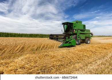 Harvesting Wheat Harvester On A Sunny Summer Day