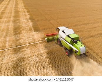 Harvesting Of Wheat In Summer. Combine Harvester Agricultural Machine Collecting Golden Ripe Wheat On The Field. View From Above.