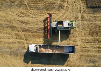 Harvesting of wheat in summer. Harvesters working in the field. Combine harvester agricultural machine collecting golden ripe wheat on the field. View from above. View from drone.