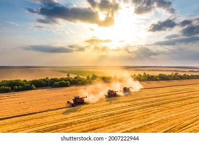harvesting wheat. three red combine-harvester work in the field. beautiful sky at sunset. Aerial drone photo - Shutterstock ID 2007222944