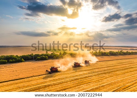 harvesting wheat. three red combine-harvester work in the field. beautiful sky at sunset. Aerial drone photo