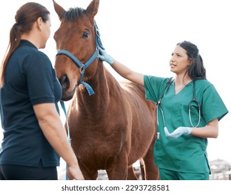 Has he been eating normally. Shot of an attractive young veterinarian standing with a horse and its owner on a farm. - Powered by Shutterstock