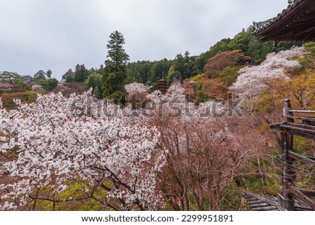 Similar – Image, Stock Photo tree stories especially