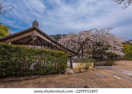 Similar – Image, Stock Photo tree stories especially