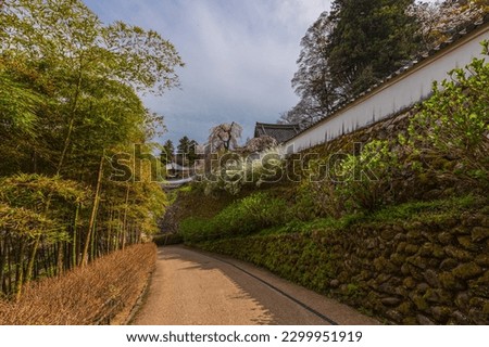 Similar – Image, Stock Photo tree stories especially