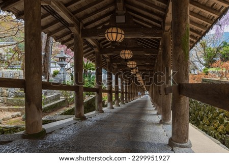 Similar – Image, Stock Photo tree stories especially