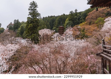 Image, Stock Photo tree stories especially