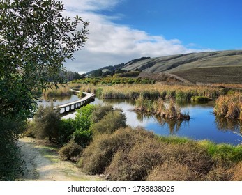 Hastings In New Zealand (NZ)